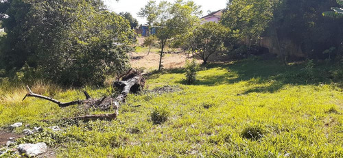 Imagem 3 de 10 de Terreno Estuda Propostas - Tr16505v