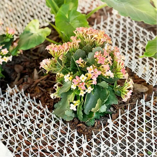 Alfombrilla Repelente De Gatos For Exteriores Con Púas, 2m