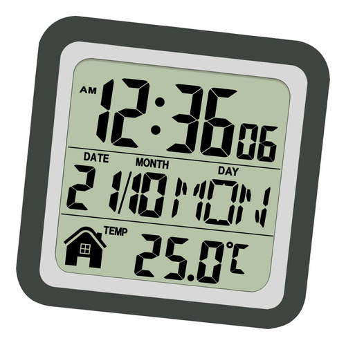 Medidor De Temperatura Interna Display De Temperatura Preto