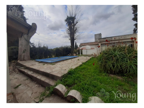 Imagen 23 de 28 de Casa De 4 Ambientes Con Jardin Y Pileta En Berazategui