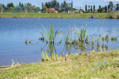 Imagen 2 de 24 de Venta De Lote A Laguna - Villanueva