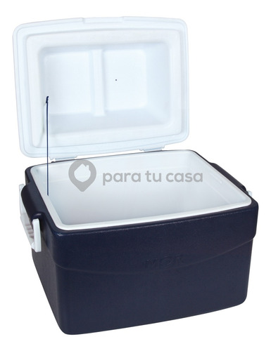 Imagen 4 de 10 de Conservadora Heladerita Portatil Playa Camping 55 L Mor