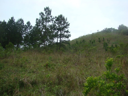 Imagem 6 de 14 de Terreno Rural De 17 Mil Im² - Tapeva, 400 Metros Da Sc 437