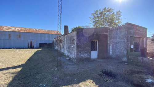 Local - Nueva Palmira