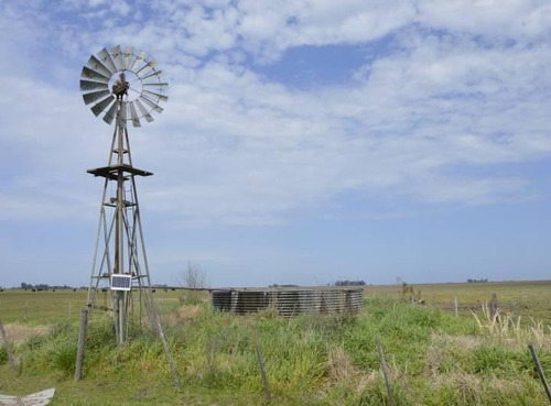 Imagen 6 de 6 de Campo Ganadero En Venta - Lincoln