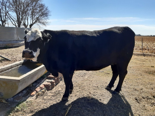 Imagen 22 de 23 de Campo En Venta De 102 Hectáreas Ubicado En General Deheza - Juárez Celman
