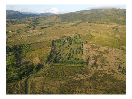 Imagen 4 de 24 de Granja En Venta Yaritagua 12 Hectareas Cod. 23-17577