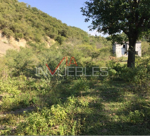 Imagen 10 de 22 de Terreno Residencial En Venta En Los Rodriguez, Santiago, Nue