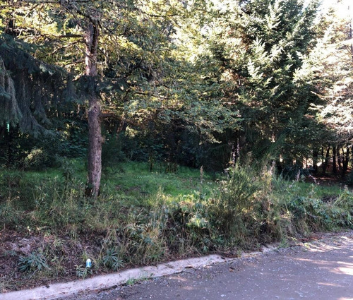 Imagen 3 de 30 de Lote Con Planos Aprobados 6 Cabañas 70m2, Zona Centro, Villa La Angostura.