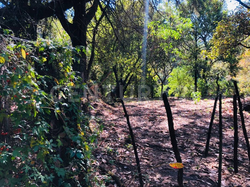 Terreno Venta Cocuatla Tepoztlan San Juan Tlacotenco Ocotes Tepoztlan Morelos