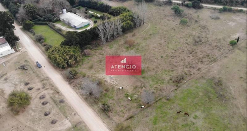 Imagen 4 de 7 de Lote En Zona De Quintas, A Pocos Mts Del Bv Brown