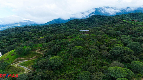 Terreno 1 Ha Venta Finca Castellanos San Lorenzo.