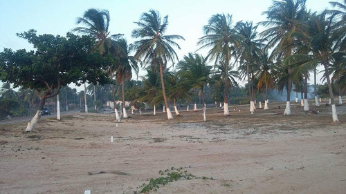 Terreno À Venda Em Icaraízinho De Amontada - Excelente Localização!