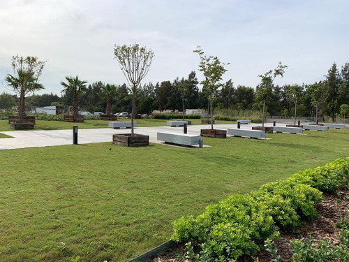 Imagen 11 de 21 de Alquiler De Oficina De 250 M2 En Nordelta