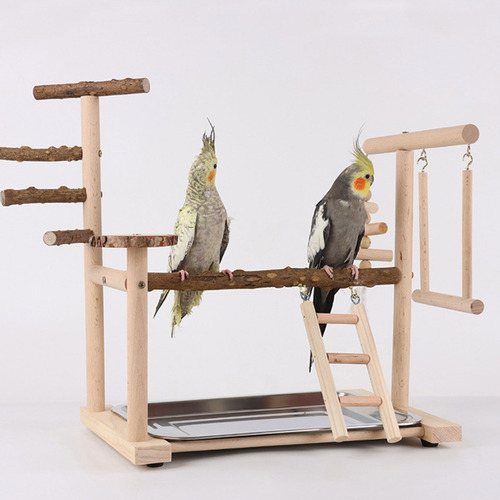 Juego De Columpios, Jaula De Loros, Juguete, Columpio, Parqu