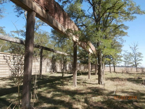 Imagen 13 de 25 de Campo Alto A 60 Km Del Ovelisco 376 Hectareas Con Mejoras