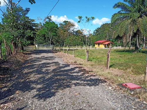 Imagen 6 de 14 de Lotes En El Molino (2000m2)