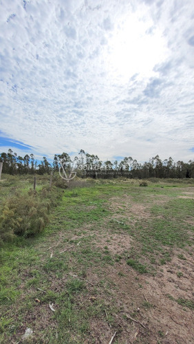 Venta Campo Sauce Totoral Canelones 9 Hectáreas Y Media Agricola Ganadero Ruta 86