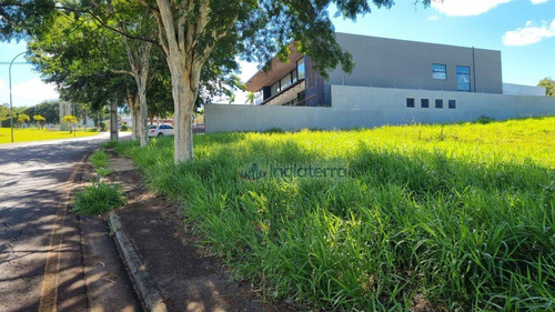 Imagem 2 de 2 de Terreno Para Alugar, 1800 M² Por R$ 15.000,00/mês - Gleba Palhano - Londrina/pr - Te0598