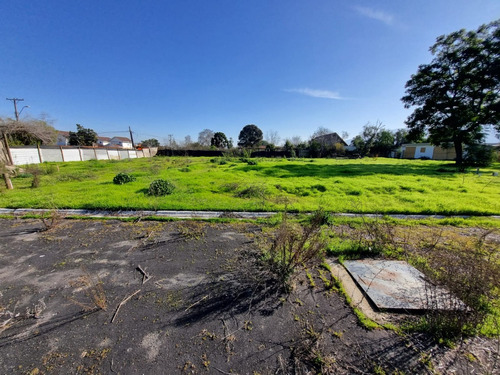 Espectacular Terreno A Pasos Del Centro De Olmue