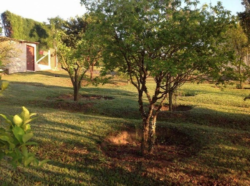Imagem 14 de 30 de Chacara - Ch00524 - 68729310