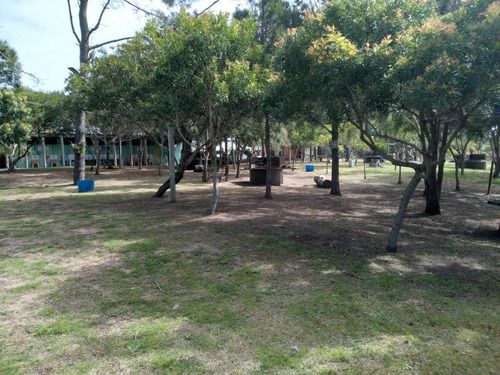 Punta Del Diablo Venta De Negocio Funcionando | Rentabilidad