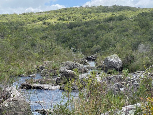 Imagen 7 de 30 de 7 Chacras De 5 Has Cada Una A 20 Km De Aigua Por Ruta 39 - Consulte !!!!!
