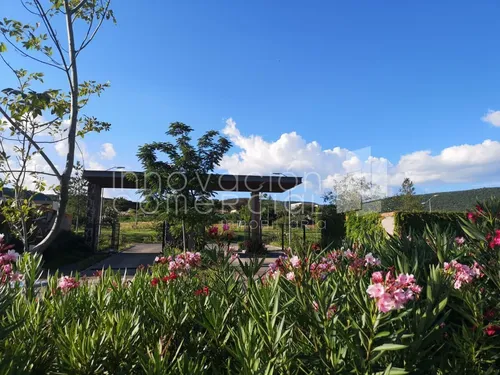 Casa En Renta En Altozano, Con 4 Recámaras, 4 Baños Y Fire Pit