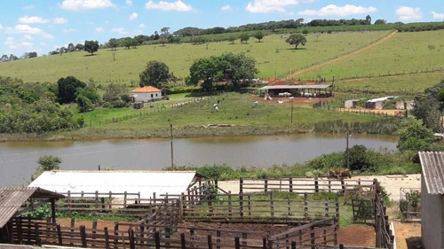 Imagem 14 de 16 de Fazenda 200 Hectares De Café No Municipio De Machado 12.000,000,00 - 39055