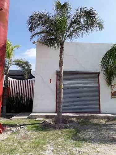 Imagen 6 de 14 de Ultimos Locales /bodegas En Renta Pasando Rancho La Pitaya