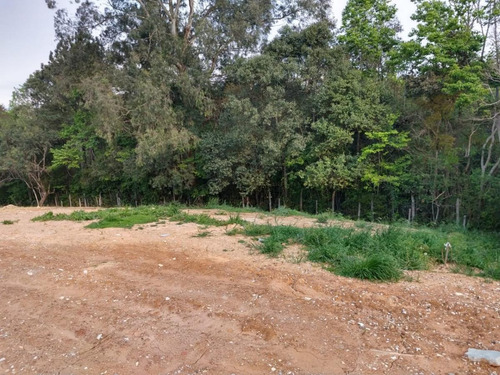 Imagem 12 de 15 de Terreno Para Venda Em Curitiba, Santa Cândida - 315_2-1089810