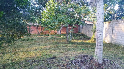 Sítio Em Aramari Próximo A Alagoinhas