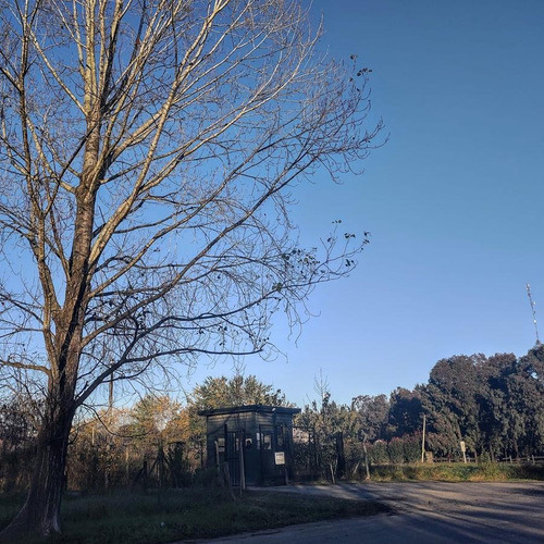 Imagen 6 de 10 de Ultimos Lotes Disponibles En Chacras Del Ocho Desde 2850 M² A Usd145.000