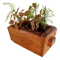Comprar Maceteros Rusticos De Calden Y Quebracho Medidas 60 X20x25