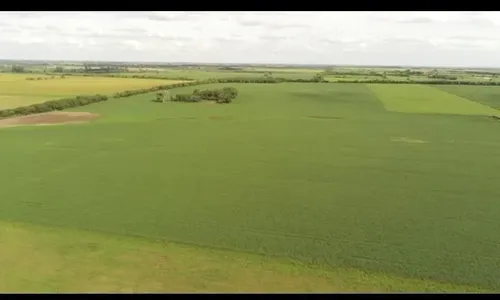 49 Ha Campo María Luisa - foto 1