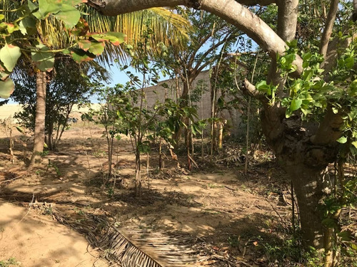 Imagen 7 de 12 de Terreno En Sector Doña Elisa, Municipio García