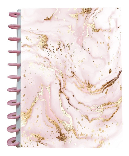 Cuaderno De Discos Prof. Pasta Dura 100hjs 105grs +100 Reps