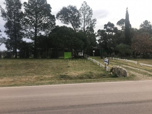 Chacra A 15 Minutos De Punta Del Este. 3 Dormitorios, Casita De Huespedes, Capacidad 10 Personas- Ref: 176