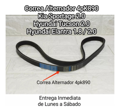 Correa Alternador Kia Sportage / Hyundai Tucson 2.0  4pk890