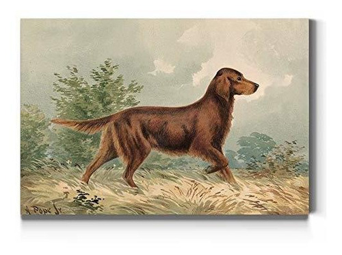 Cuadro Lienzo Galería Irish Setter: Pintura Canino.