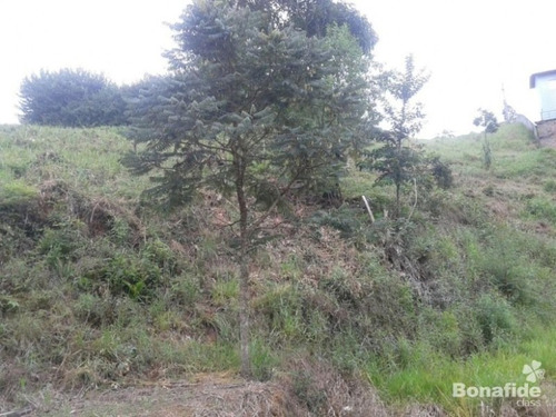 Imagem 1 de 10 de Terreno - Te04487 - 4255194