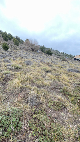 Lote En San Martín De Los Andes Barrio Noregón