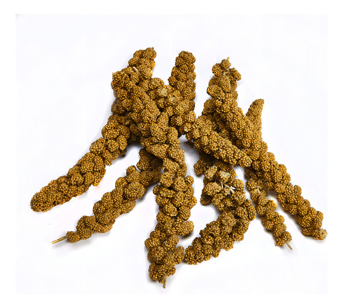 Panizo Kaytee Mijo Natural En Ramas Para Todas Las Aves 7 oz