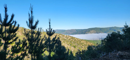 En Venta Parcela Con Rol Propio A 50 Min De Cauquenes