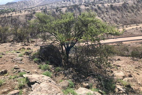 Terreno En Venta Condominio Hacienda Chacabuco