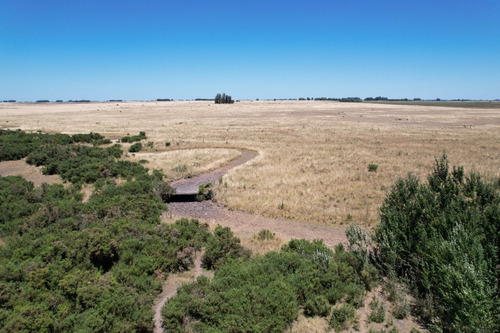 Imagen 2 de 8 de Campo En Venta En Alvarez Jonte-punta Indio