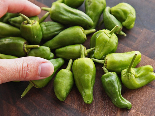 Pimenta Padron Ou Roleta Pimienta De Tapas Sementes P/ Mudas
