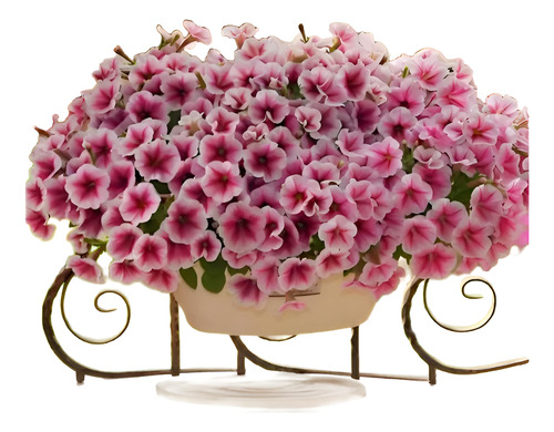 100 Semillas De Flor De Petunia Rosada