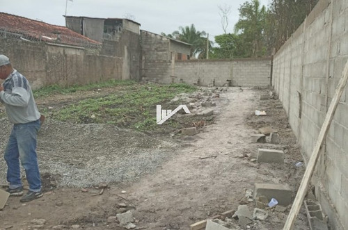 Imagem 2 de 4 de Lote Com 328m² No Jardim Palmeiras Em Rua Calçada 650m Do Ma