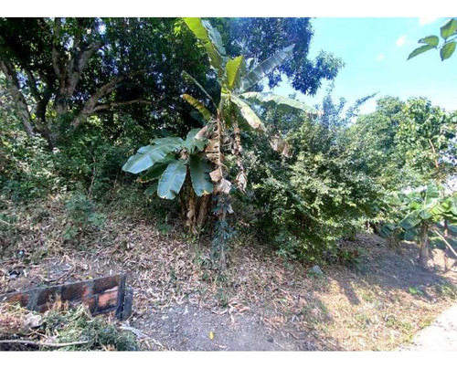 Casa En Venta La Aguadita Cojedes Tu-8574918